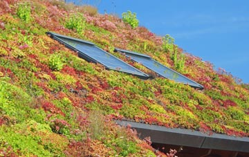 Westwoodside living roof systems